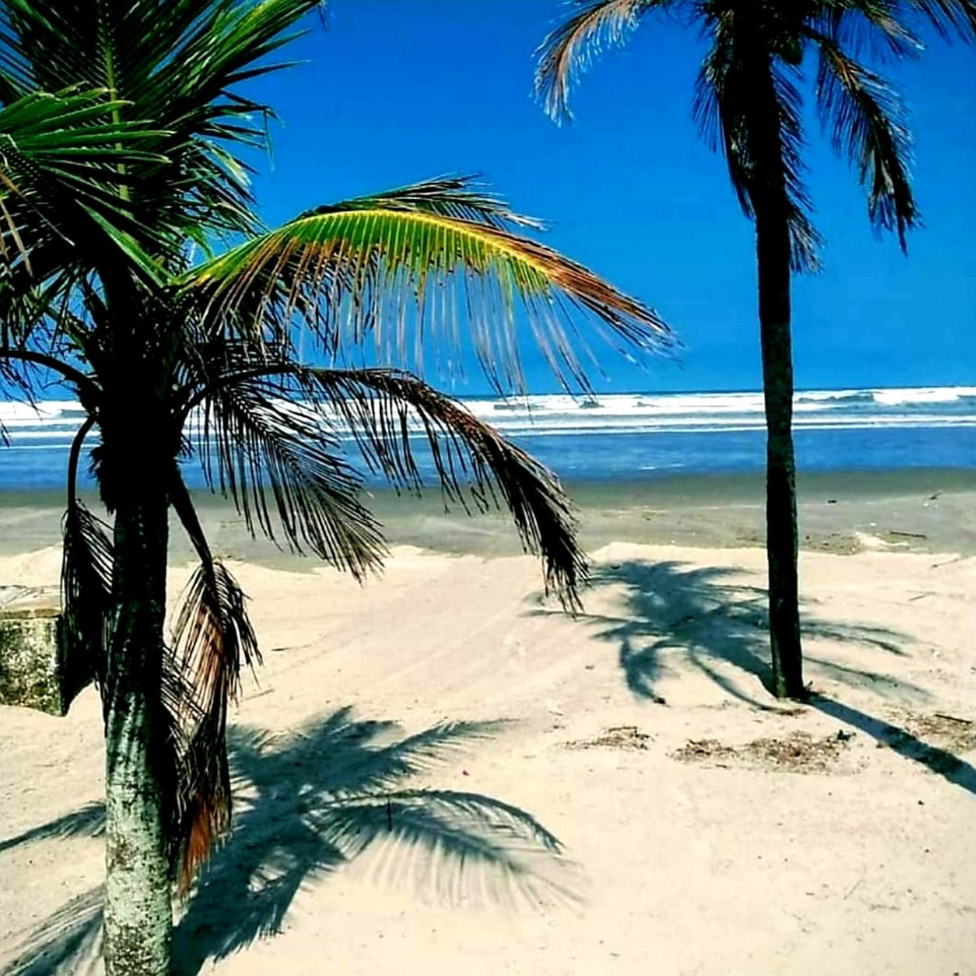 Appartement Requinte e sofisticação à Praia Grande  Extérieur photo
